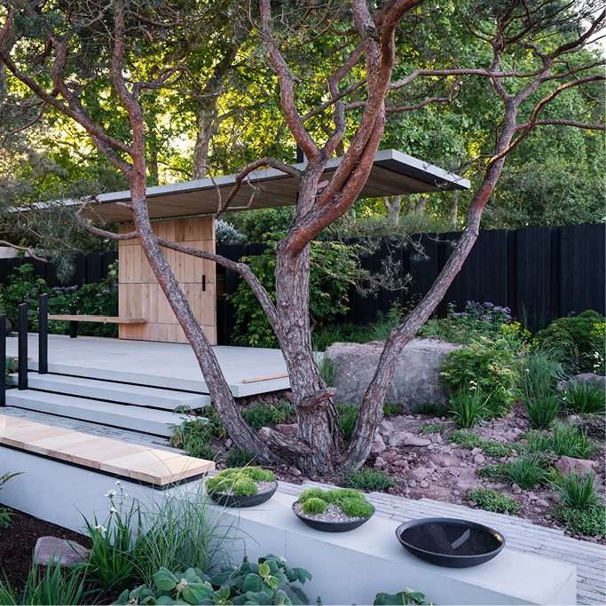 Asthma + Lung UK Breathing Space Garden   RHS Chelsea Flower Show 2026  Lightgraphix Creative Lighting Solutions